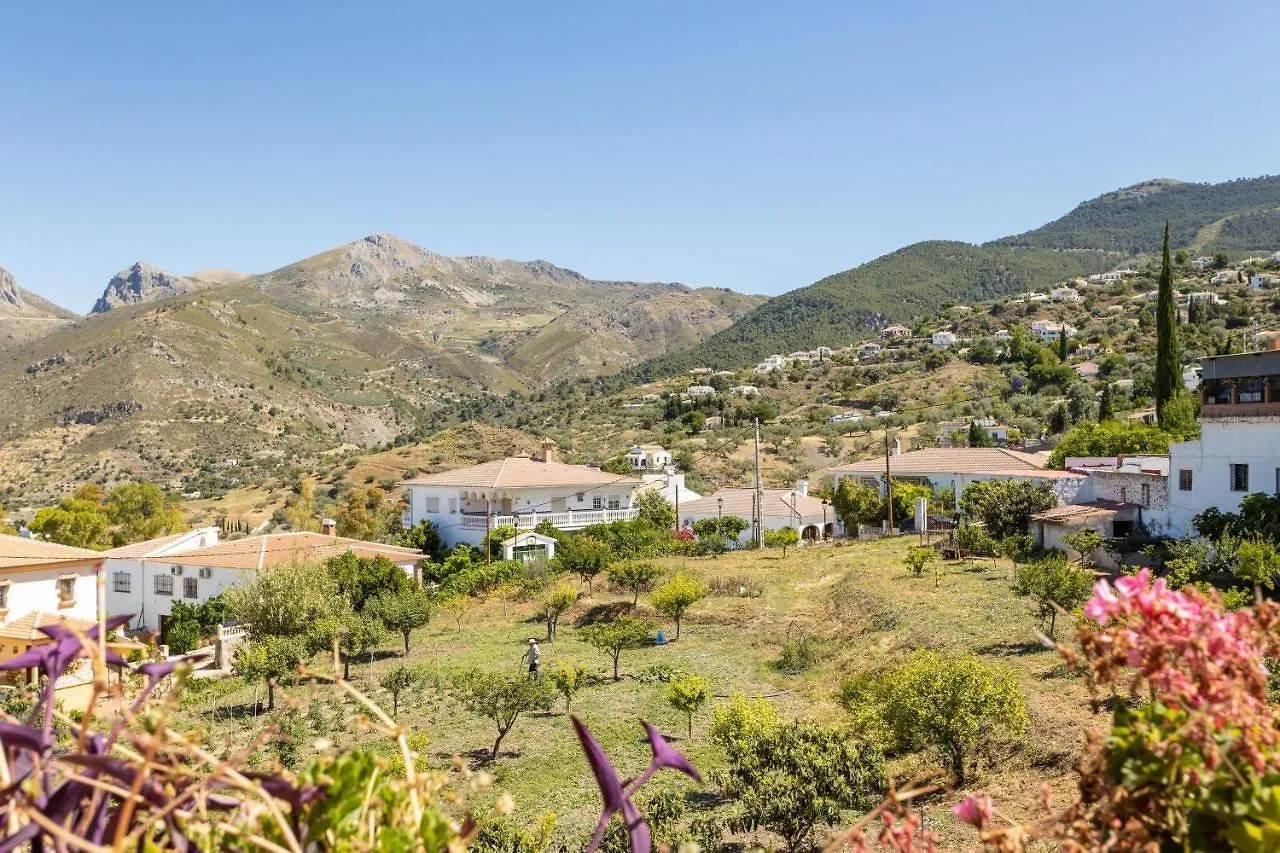 Atico Alcaucin Apartment Spain